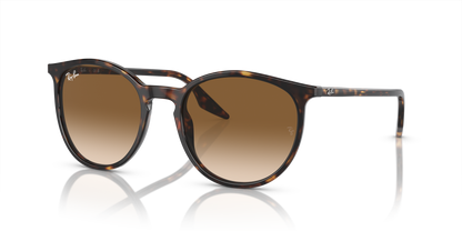 RAY-BAN RB2204 902/51 54