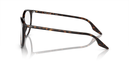 RAY-BAN RB2204 902/GJ 54