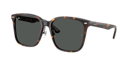 RAY-BAN RB2206D 710/87 57