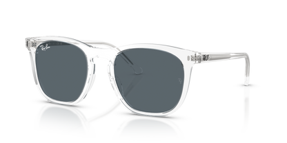RAY-BAN RB2210 6447R5 53