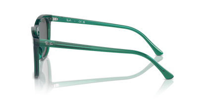 RAY-BAN RB2210 6615B1 53