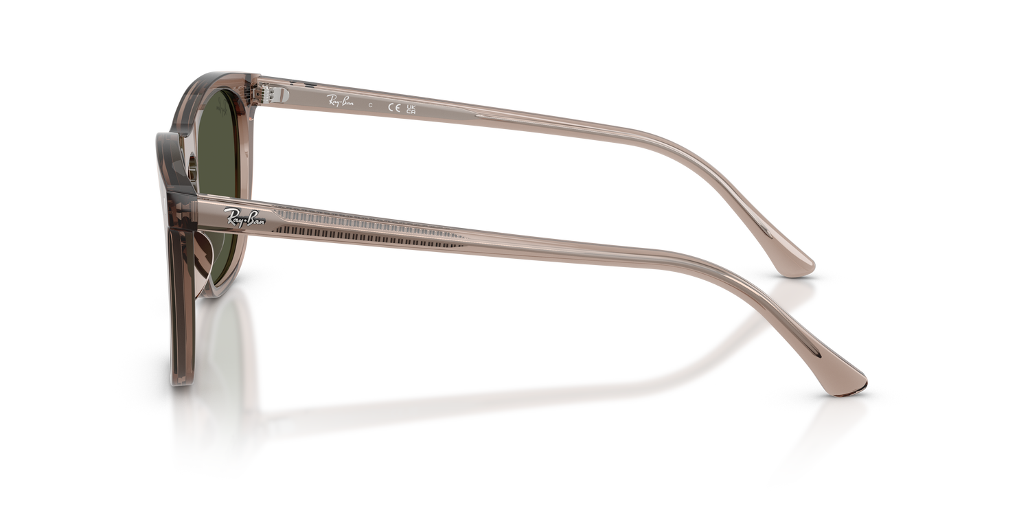 RAY-BAN RB2210 845731 53