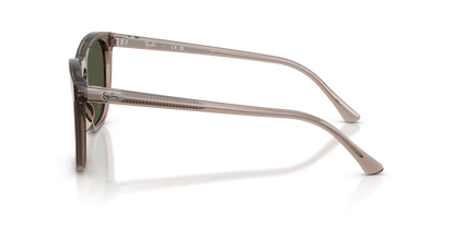 RAY-BAN RB2210 845731 53