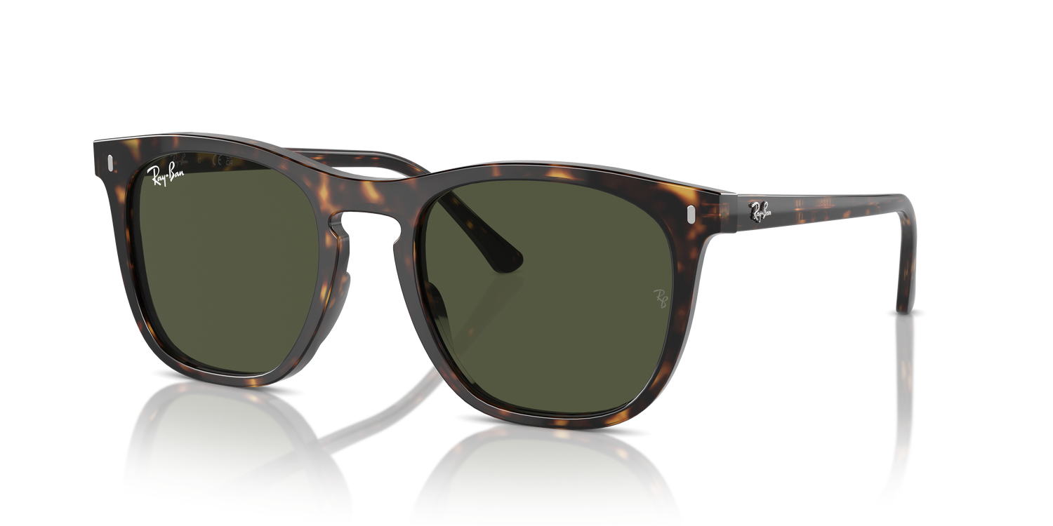 RAY-BAN RB2210 902/31 53