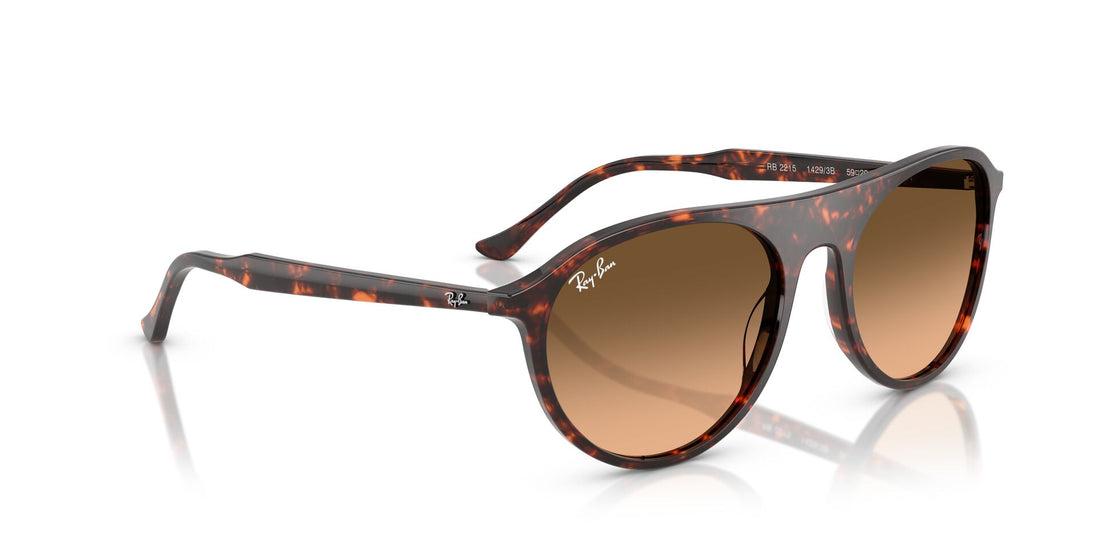 RAY-BAN RB2215 14293B 59
