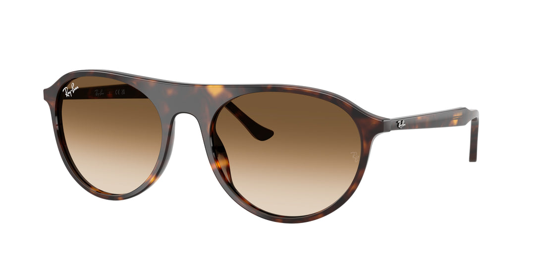 Óculos de sol ray-ban rb2215 902/51 havana square unisex tamanho 59mm - Vista principal