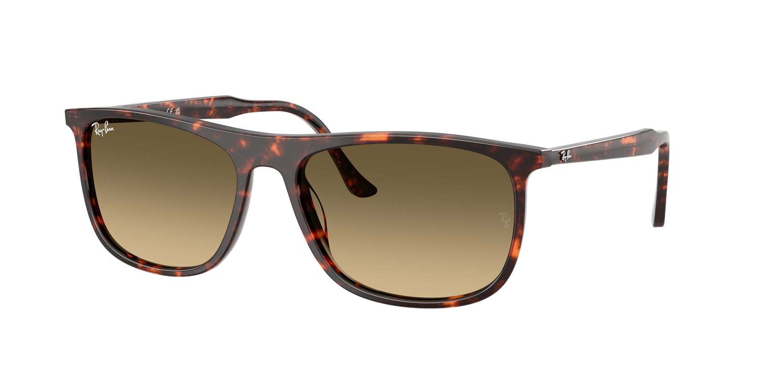 RAY-BAN RB2216 14290A 58