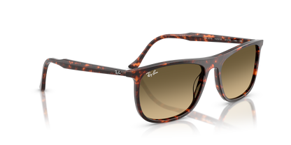 RAY-BAN RB2216 14290A 61