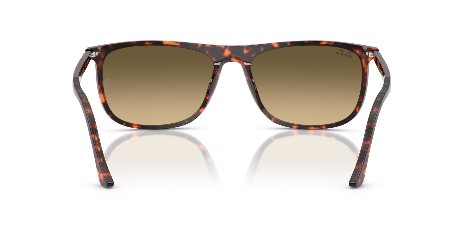 RAY-BAN RB2216 14290A 58