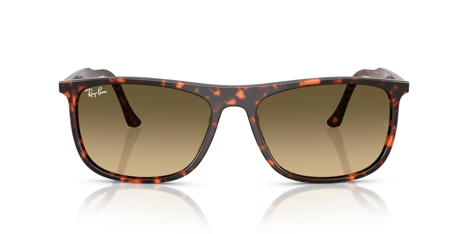 RAY-BAN RB2216 14290A 58