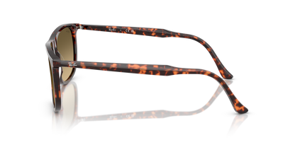 RAY-BAN RB2216 14290A 58