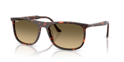 RAY-BAN RB2216 14290A 58