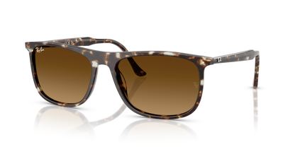 RAY-BAN RB2216 143185 58