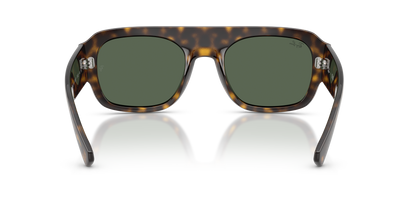 RAY-BAN RB2218 679071 55