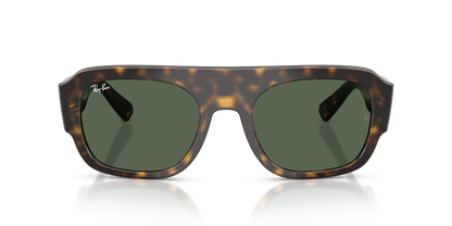 RAY-BAN RB2218 679071 55