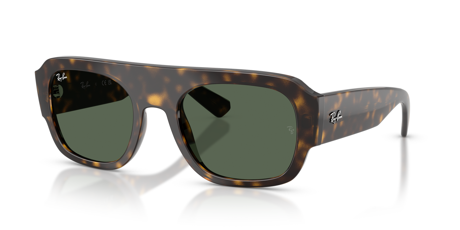RAY-BAN RB2218 679071 55