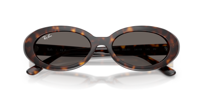 RAY-BAN RB2223 902/B1 54