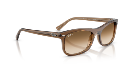 RAY-BAN RB2226 664051 54