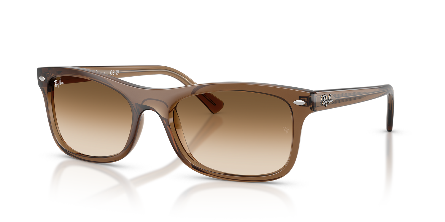 RAY-BAN RB2226 664051 54