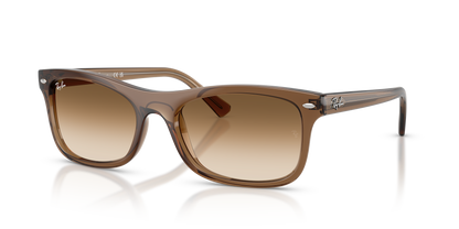 RAY-BAN RB2226 664051 54