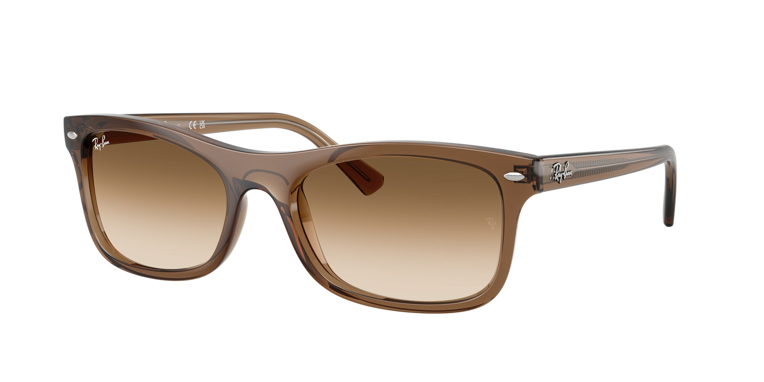 RAY-BAN RB2226 664051 54