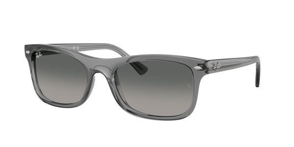 RAY-BAN RB2226 664171 54