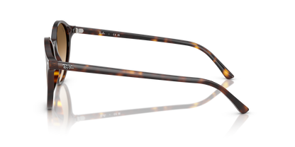 RAY-BAN RB2230 BERNARD 902/51 51