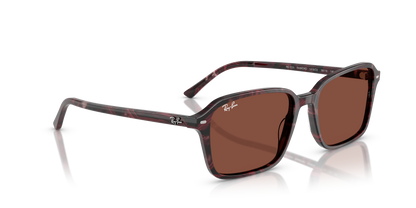 RAY-BAN RB2231 RAIMOND 1416C5 56