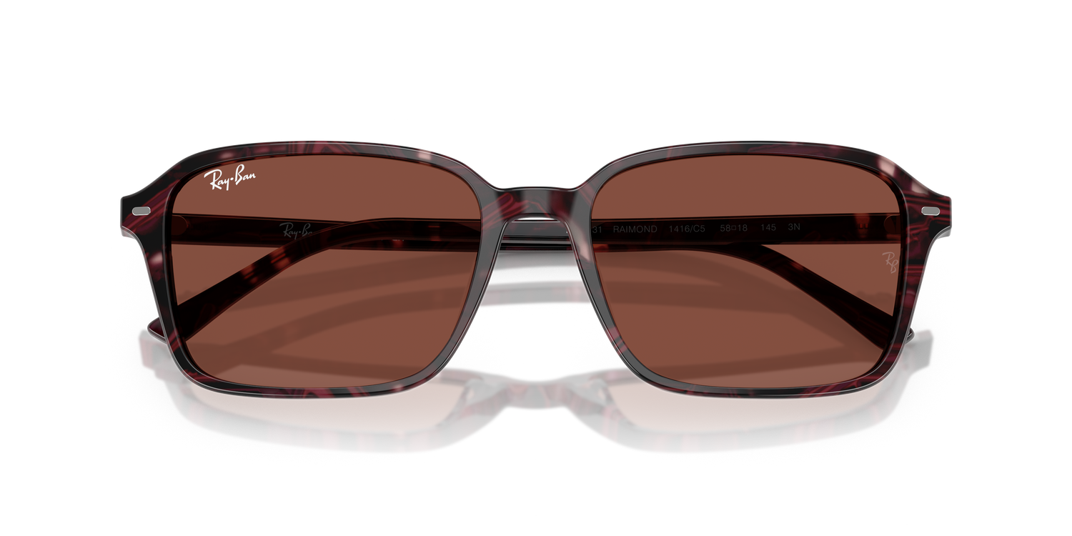 RAY-BAN RB2231 RAIMOND 1416C5 58