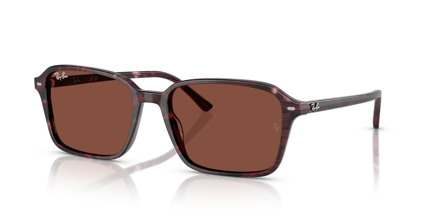 RAY-BAN RB2231 RAIMOND 1416C5 56