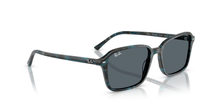 RAY-BAN RB2231 RAIMOND 1417R5 56