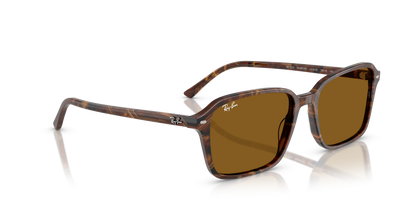 RAY-BAN RB2231 RAIMOND 141833 58