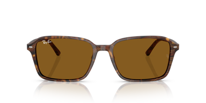 RAY-BAN RB2231 RAIMOND 141833 58