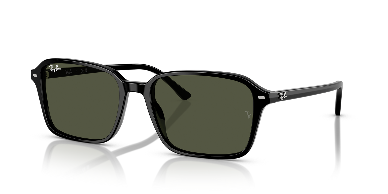 RAY-BAN RB2231 RAIMOND 901/31 58