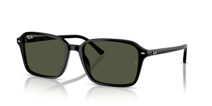 RAY-BAN RB2231 RAIMOND 901/31 58