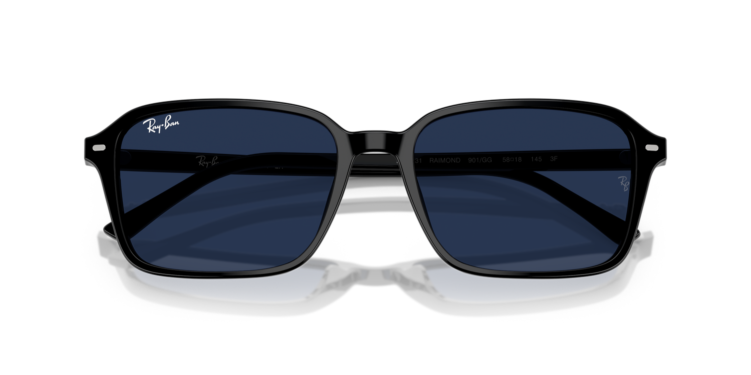 RAY-BAN RB2231 RAIMOND 901/GG 58