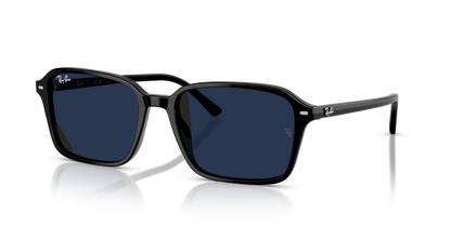 RAY-BAN RB2231 RAIMOND 901/GG 58