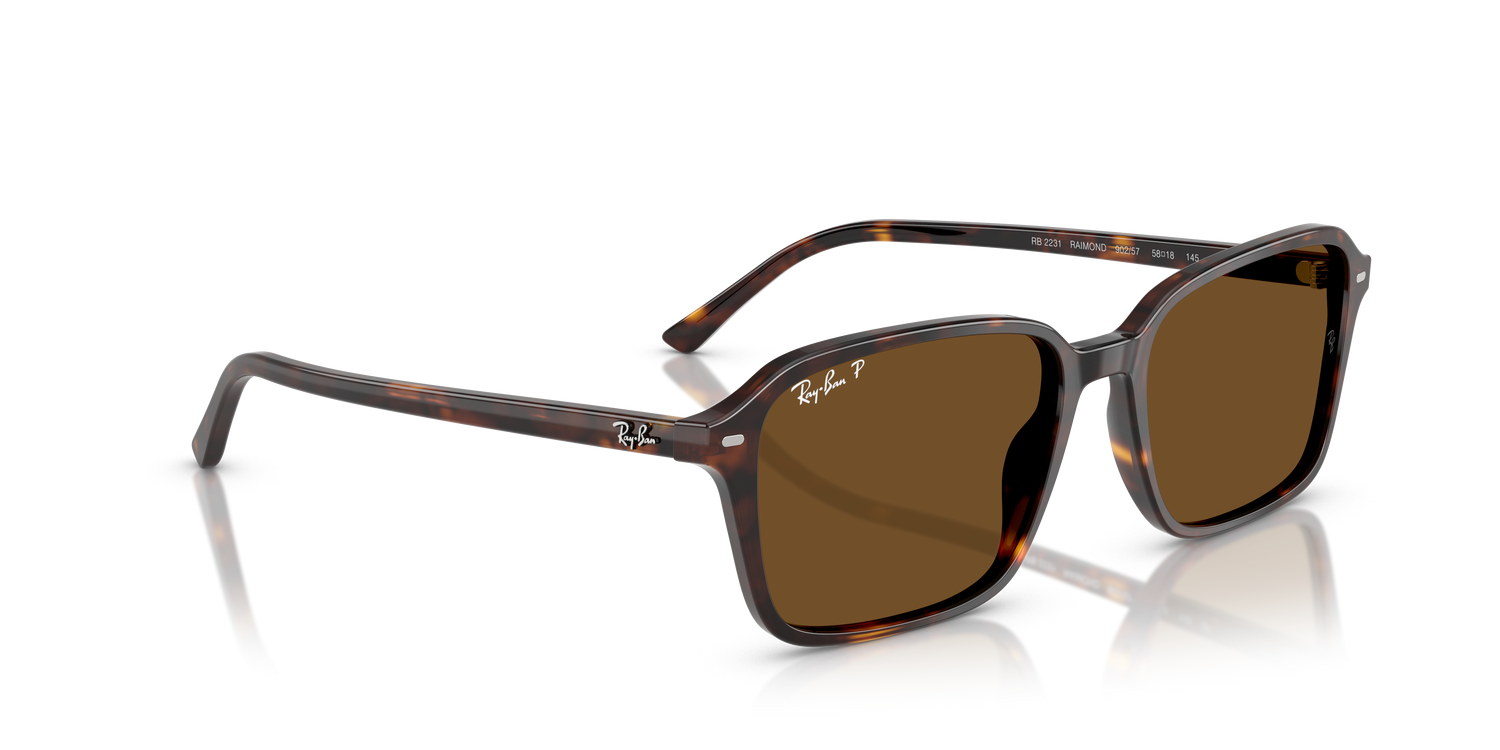 RAY-BAN RB2231 RAIMOND 902/57 58