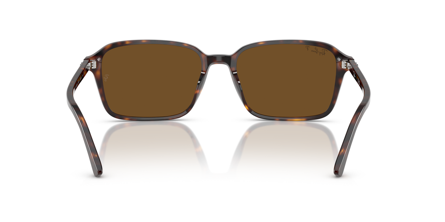 RAY-BAN RB2231 RAIMOND 902/57 58