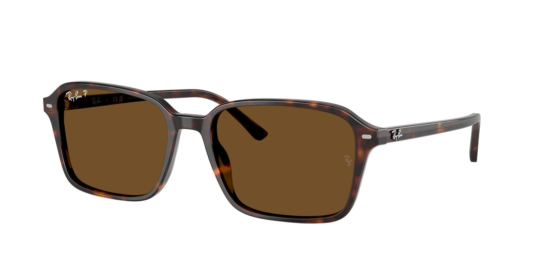 Óculos de sol ray-ban rb2231 raimond 902/57 carey square . tamanho 58mm - Vista principal