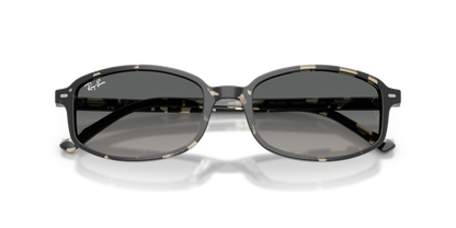 RAY-BAN RB2232 133371 54