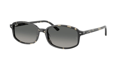RAY-BAN RB2232 133371 54