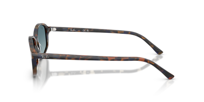 RAY-BAN RB2232 13563M 54