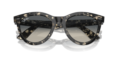 RAY-BAN RB2241 WAYFARER WAY 133371 54