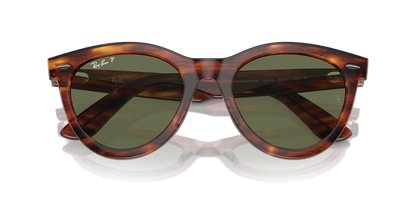 RAY-BAN RB2241 WAYFARER WAY 954/58 51