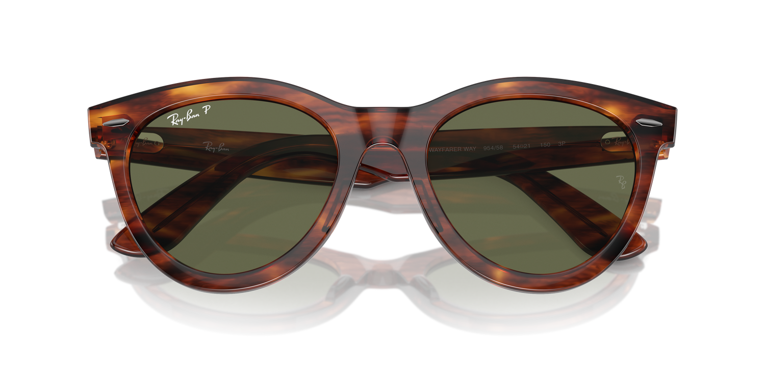 RAY-BAN RB2241 WAYFARER WAY 954/58 51