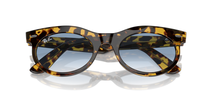 RAY-BAN RB2242 WAYFARER OVAL 13323F 53
