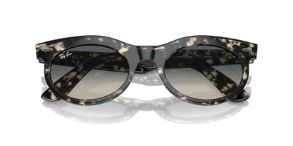 RAY-BAN RB2242 WAYFARER OVAL 133371 50