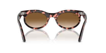 RAY-BAN RB2242 WAYFARER OVAL 133451 53