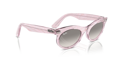 RAY-BAN RB2242 WAYFARER OVAL 138432 53